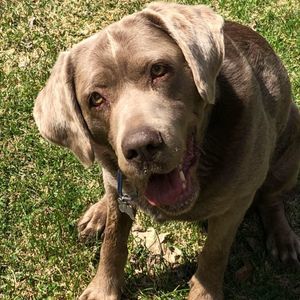 Meet your Posher, Becky